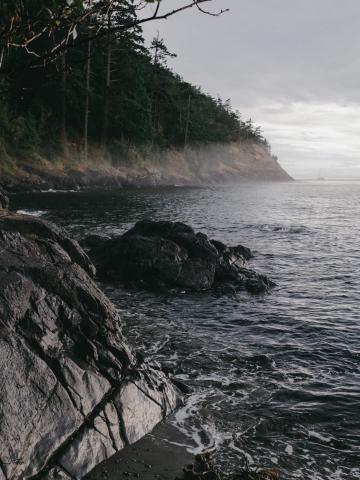 A moody photo of the shoreline just north of Deception Pass.